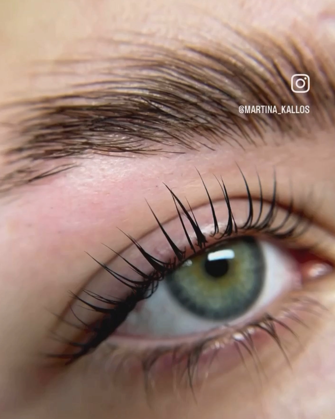 Kallos lash lift